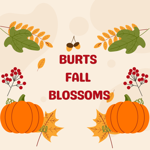 Team Page: Burts Fall Blossoms